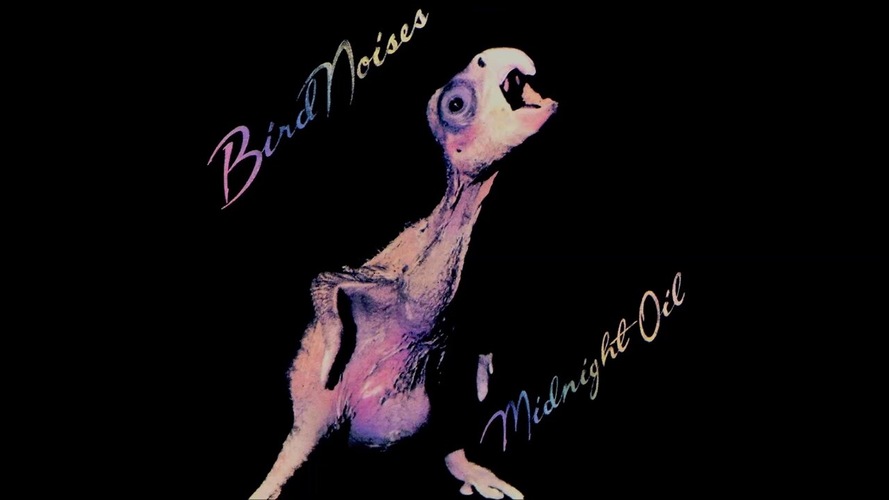 Midnight Oil - Bird Noises (1980) [Full EP]