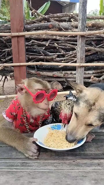 Best SokYaa, OG, Pao & Mom Are Videomous Around The World #shorts #anime #trend #edit