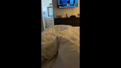 Where’s The Cat? 🐈🤷🏻‍♀️😆