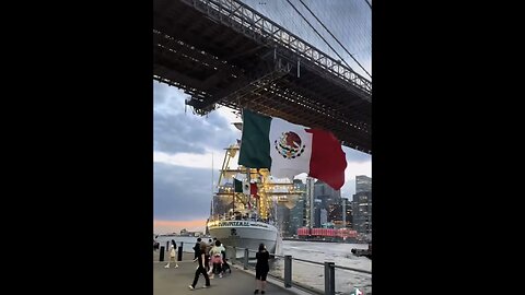 MEXICAN NAVY SHIP CRASHES🇲🇽🌉⛵️🏙️📸INTO BROOKLYN BRIDGE NEW YORK CITY🌆🌉⛵️💫