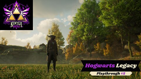 An Apology Stream... Pt. 2 A Wizard's World (DK_Mach22)