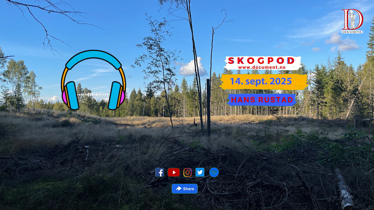 Skogpod 14. september 2025