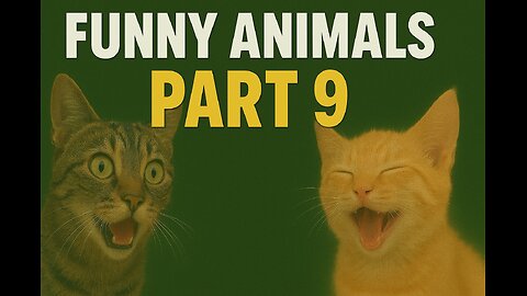 Funny animal videos 2026 - Funny cats/dogs - Funny animals - PART9