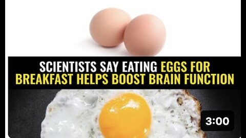 "Eggs for Breakfast Enhance Brain Function, Scientists Suggest"