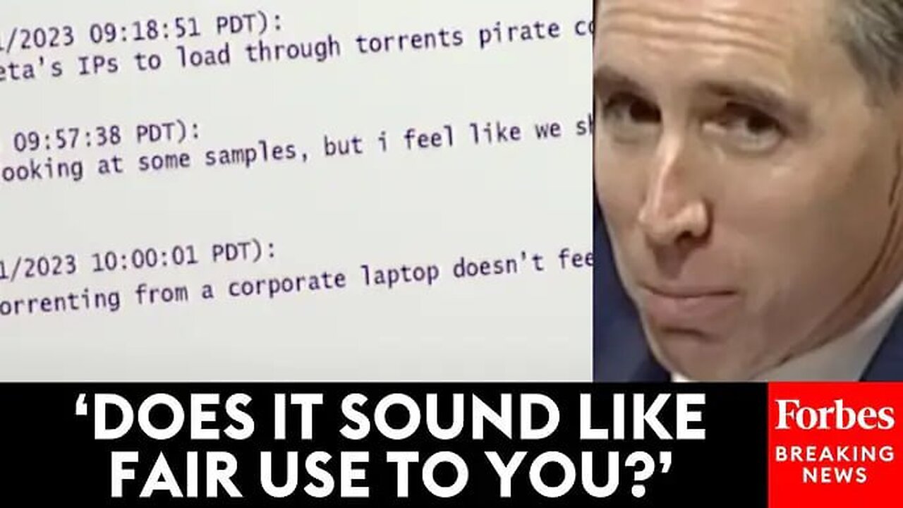 Josh Hawley Pulls Up Meta Employee Chat Logs In Front Of Congress Showing 'Pirating' Scheme