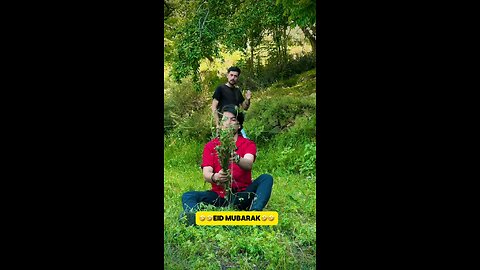 catlover #short #youtubeshorts #ytshorts #animals