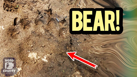 Crossing Paths With Bear - Art Materials Scavenger Walk | couple vlog, country life, mountain living