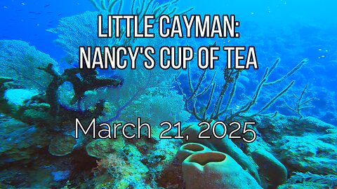 Little Cayman - Nancy's Cup of Tea - Friday, March 21, 2025