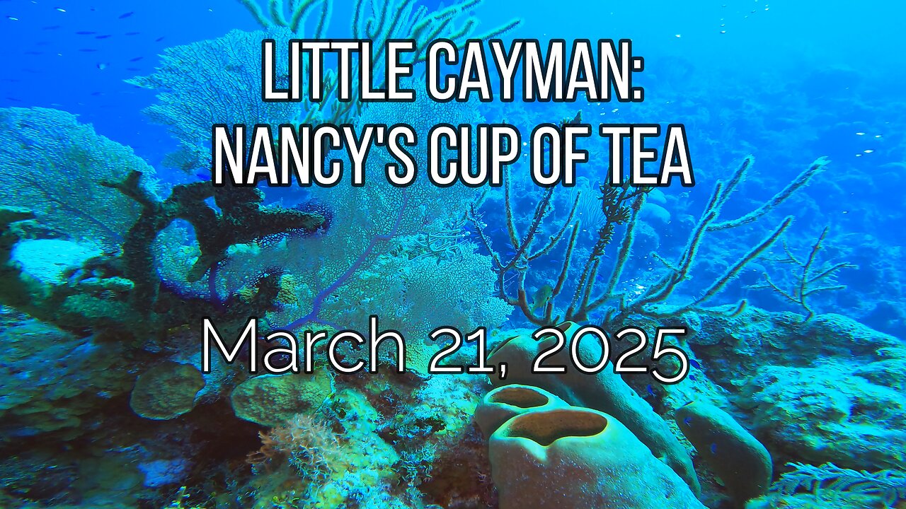 Little Cayman - Nancy's Cup of Tea - Friday, March 21, 2025
