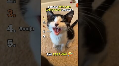 Ranking Best Cats Versus Food Moments