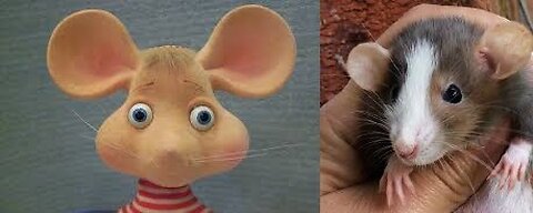 This Rat Looks Like Topo Gigio !