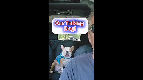 Our Talking Dog!