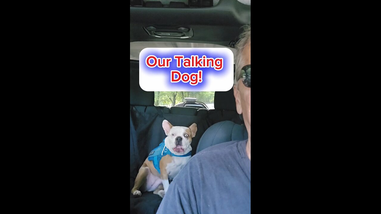 Our Talking Dog!