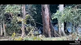 🔥🇹🇭 Cambodia Thailand War | Thai Troops vs. Cambodian Forces | RCF