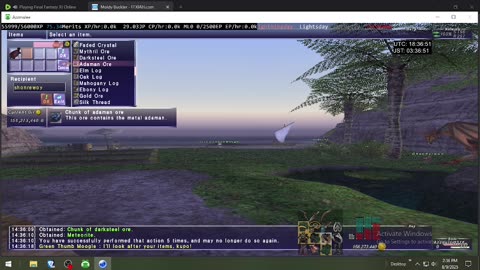 Playing Final Fantasy XI Online