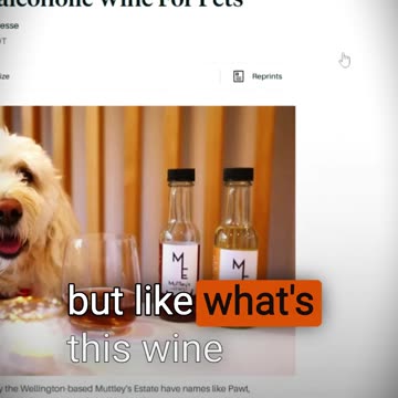 They're Making Wine for Dogs Now. Why? 🍷