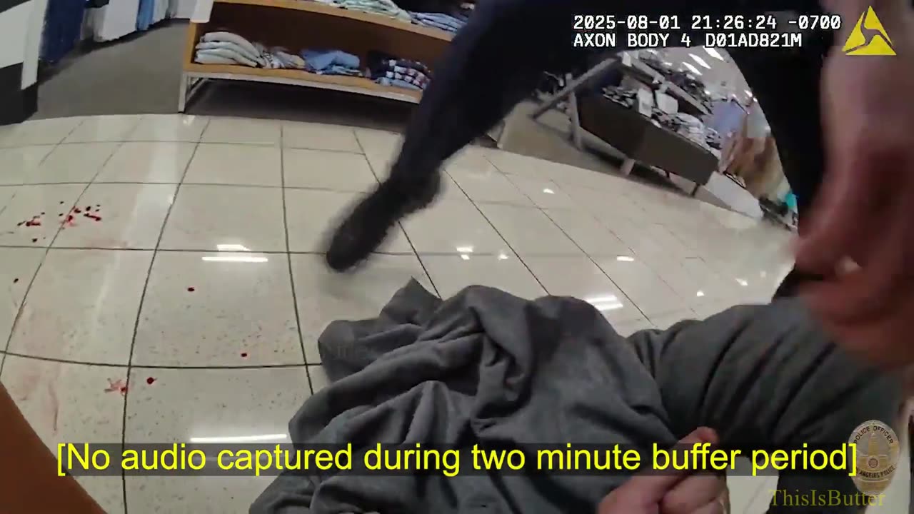 Suspect injured by LAPD officers during arrest then attempts to flee from the hospital