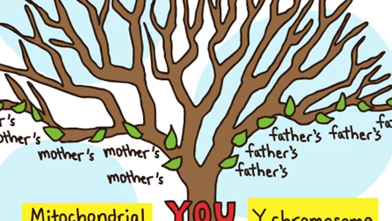 23andMe Relative Finder: Get a brand-new look at your family tree.