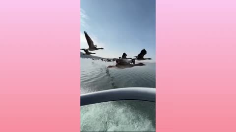 ODDLY SATISFYING
