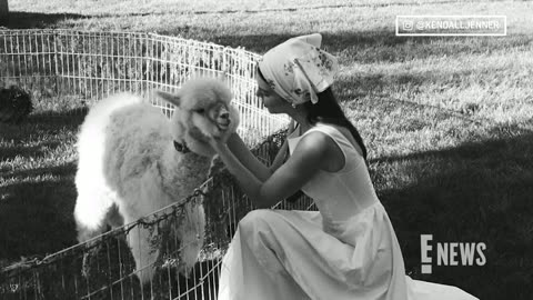 Latest update on Kendall Jenner