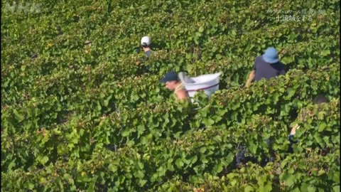 空からクルージングmini・5分版- フランス・ロワール川 空の旅 「上流域を下る」