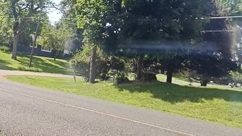 Honda Shadow Spirit 1100