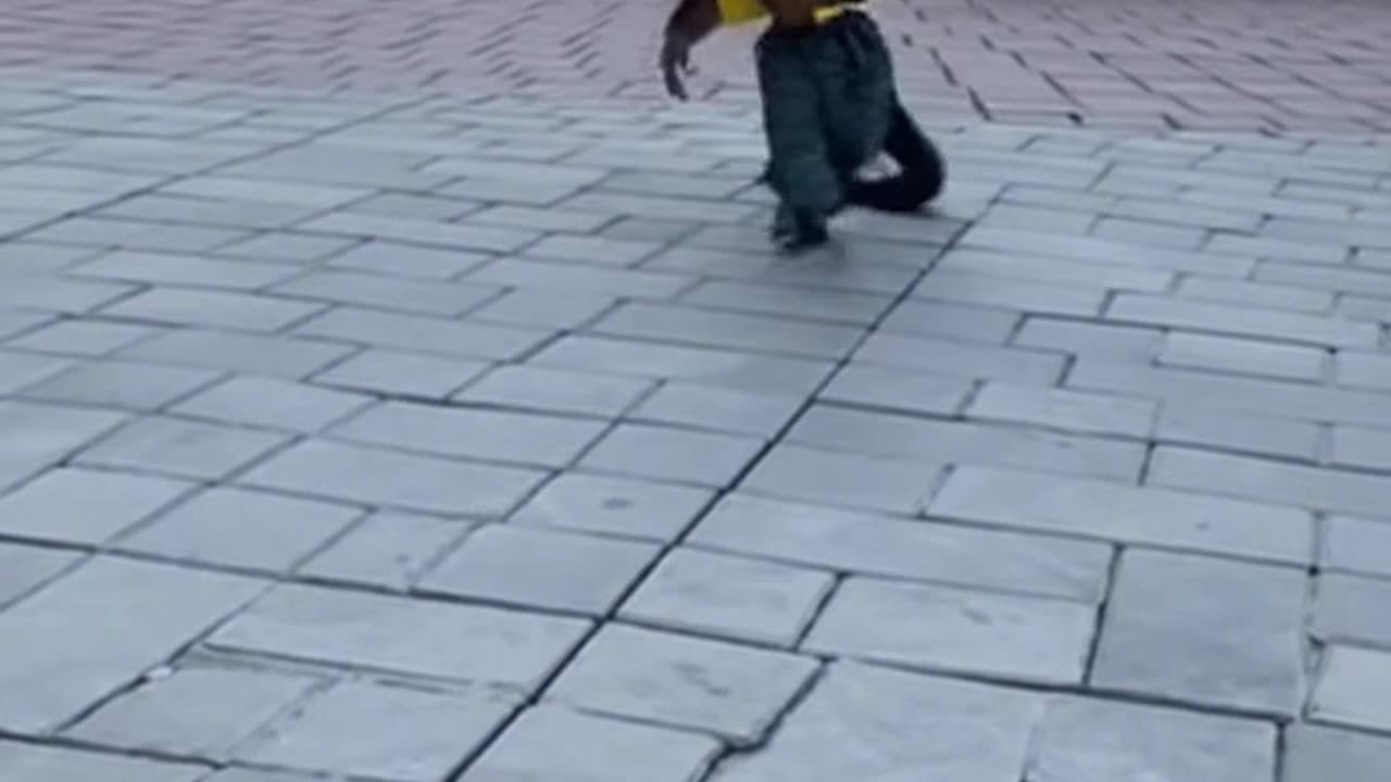 A monkey clowning around - GaG2025