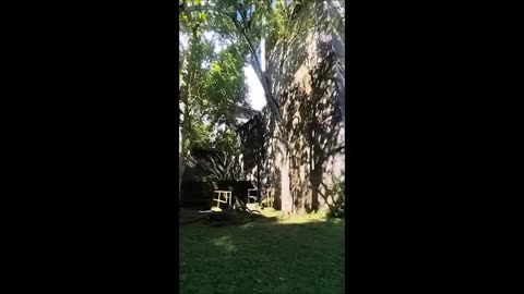 Le gars qui a l'alien au Panama l'a laissé tomber dans l'eau Qu'est-ce qui pourrait mal se passer ?