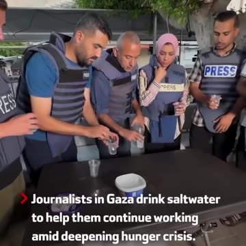 A masterclass in insulting human intelligence (GAZAWOOD)