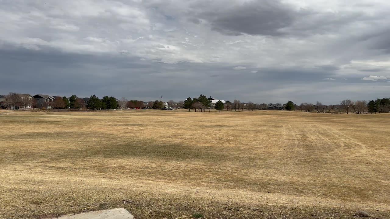 A beautiful day at the park