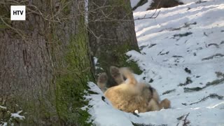 A Gateway to Earth’s Hidden Beauty