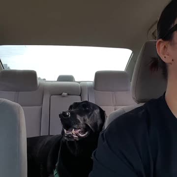 Riley's a Rolling Stone