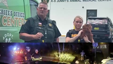 Florida man accused of slamming dog, headbutting patrol car