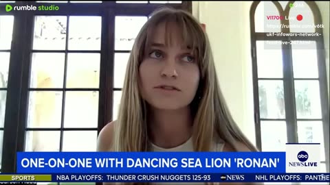 LIVE: ABC News Live — Monday, May 19