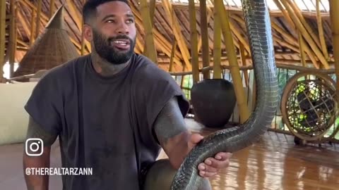 Man plays with dangerous snake