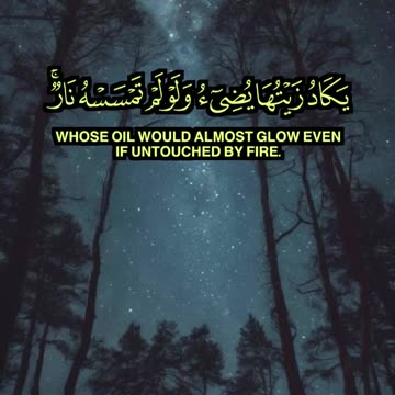 🎧 تلاوة خاشعة من سورة النور | محمد النقيب | Surah An-Nur by Mohammed An-Naqib 🌟