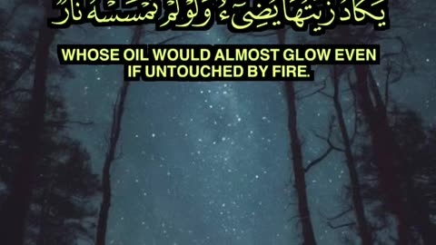 🎧 تلاوة خاشعة من سورة النور | محمد النقيب | Surah An-Nur by Mohammed An-Naqib 🌟