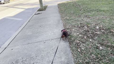 My Baby and the music