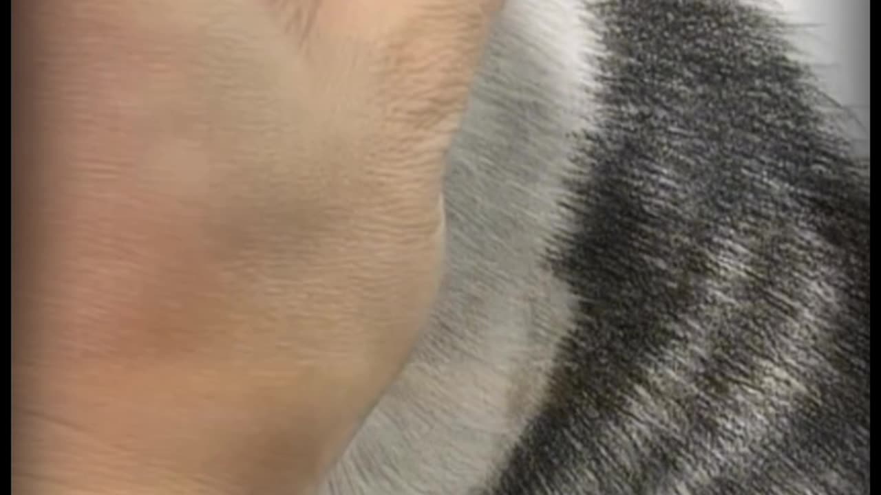 Amazing artwork video 2025