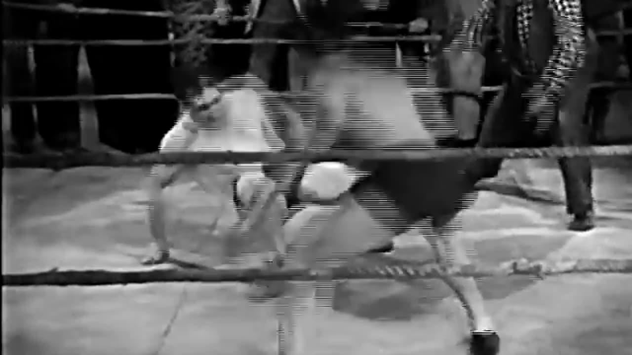 Bob Steele - Trail Of Terror