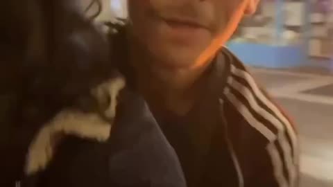 Disturbing footage from Germany Syrians from Raqqah kidnap and hold a German woman in Germany