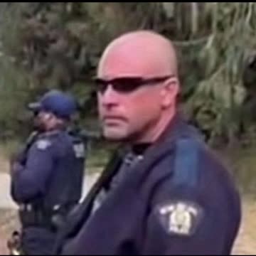 Those there to murder the ostriches! Evil 🤬