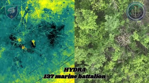 🛸💥 Ukraine Russia War | Ukraine's 'Hydra' Drone Unit Targets Russian Troops with Drone-Droppe… | RCF
