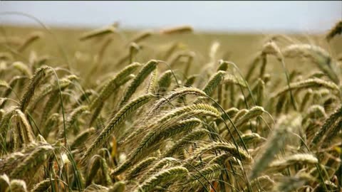 ¡Este hechizo destruiría cualquier mundo de fantasía!