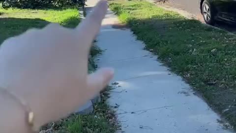 Welcome to the third world , 27 people in a house