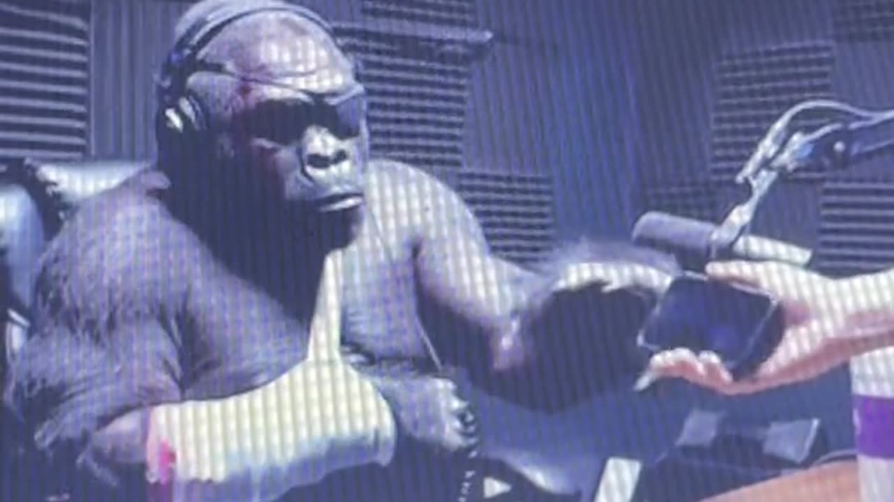 100 men vs 1 Gorilla Pt. 3 Funny Fridays 21