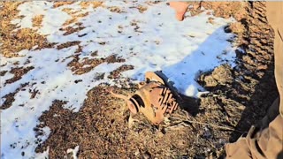 Washing Machine Motor_ Watch This Crazy Start Mechanism! #homesteading #livingoffgrid #farmequipment