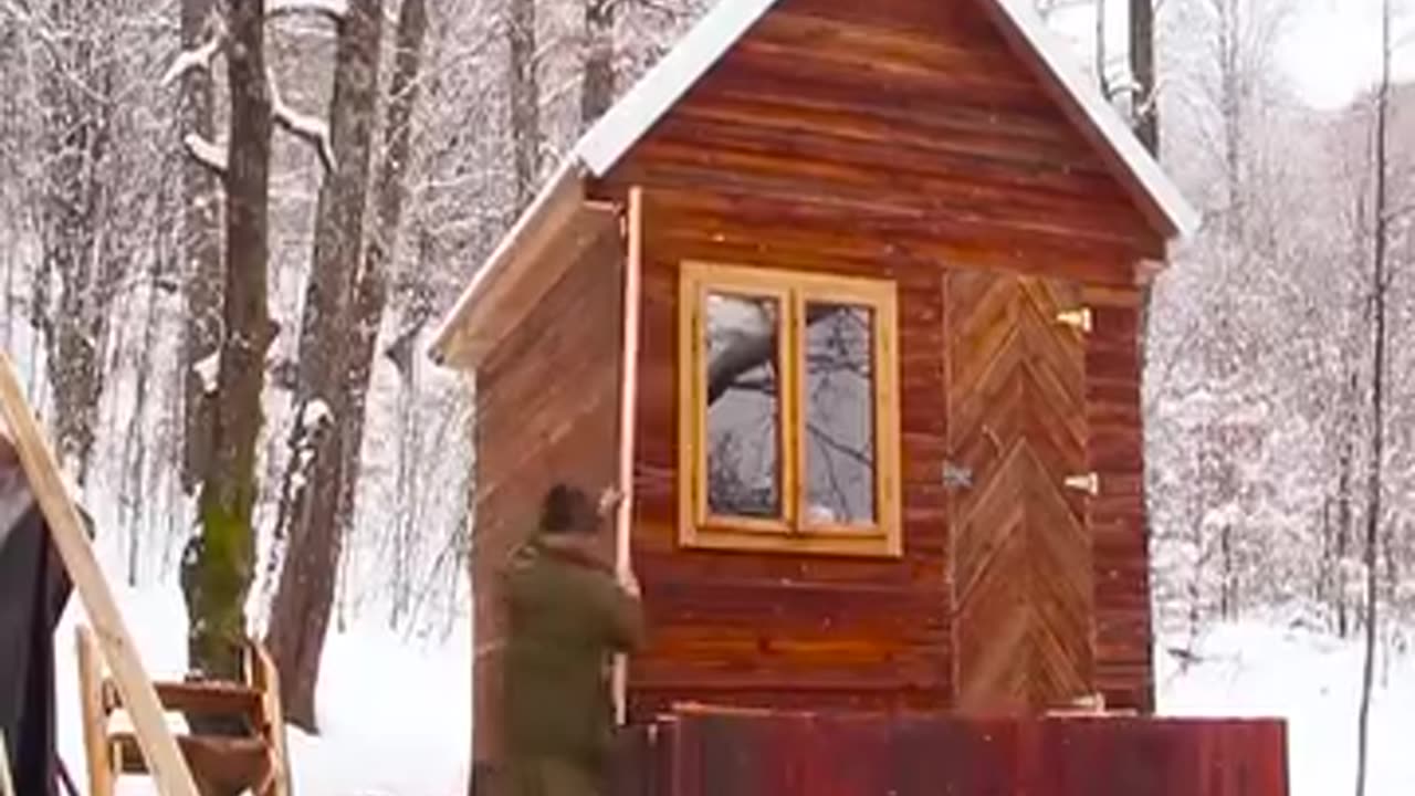 Tiny Cabin in the woods