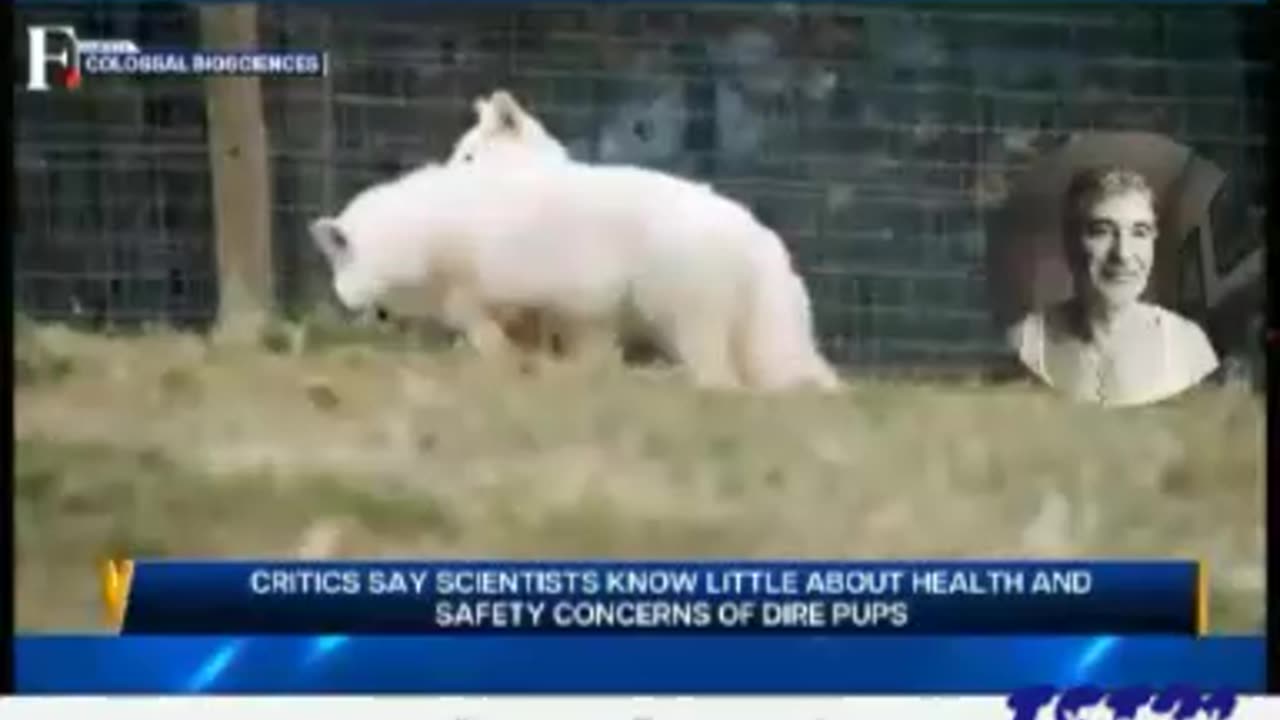 SCIENTISTS "RESURRECT" THE 13,000 YEAR OLD EXTINCT DIRE WOLF