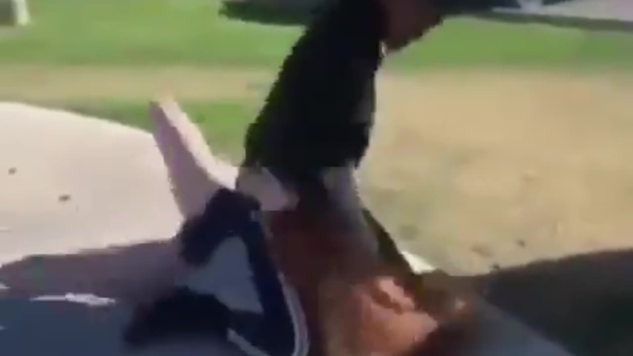 Diversity attacks human